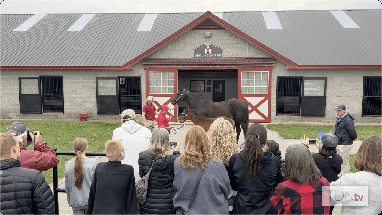 Visiting Horse Country Tours: Taylor Made Farm